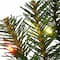 9ft. Norwood Fir Garland, Multi 4-Color LED Lights